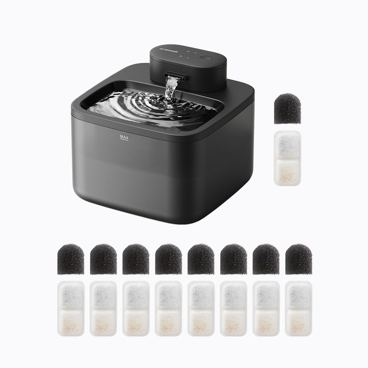 Cat Water Fountain