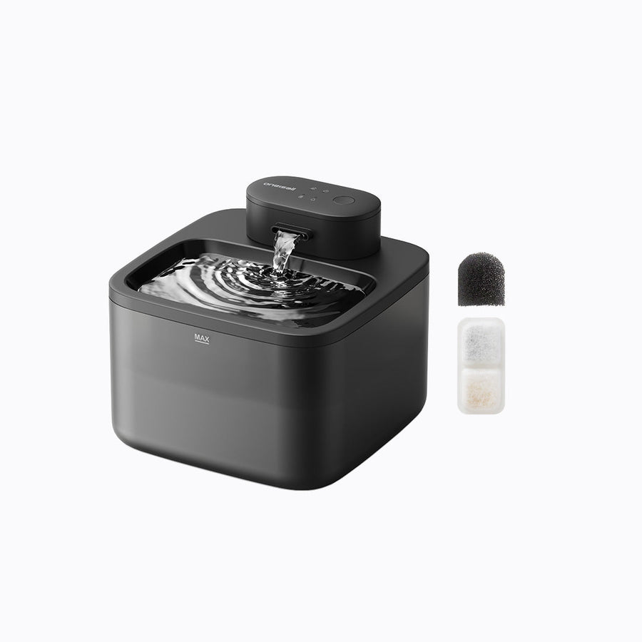 Cat Water Fountain