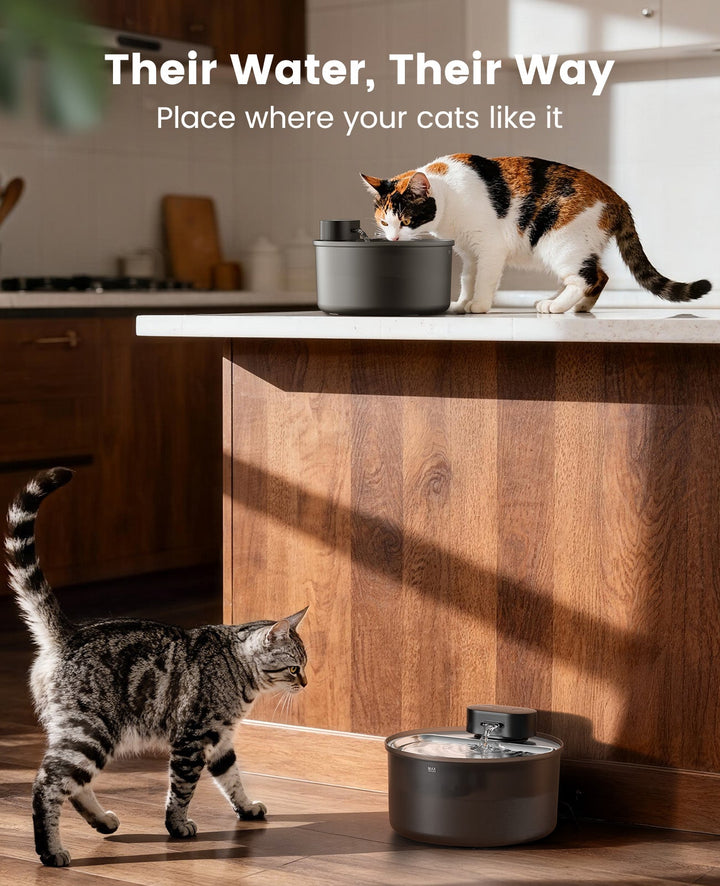 oneisall Wireless Cat Water Fountain for Drinking 3.2L | Stainless Steel Dishwasher Safe Cat Fountain,20db Silent Pump,4000mAh Battery Operated Pet Water Dispenser Motion Sensor