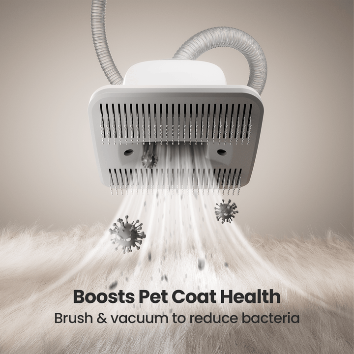 Oneisall LM2 Pet Grooming Vacuum & 3 Sponge Filter & Hepa Set
