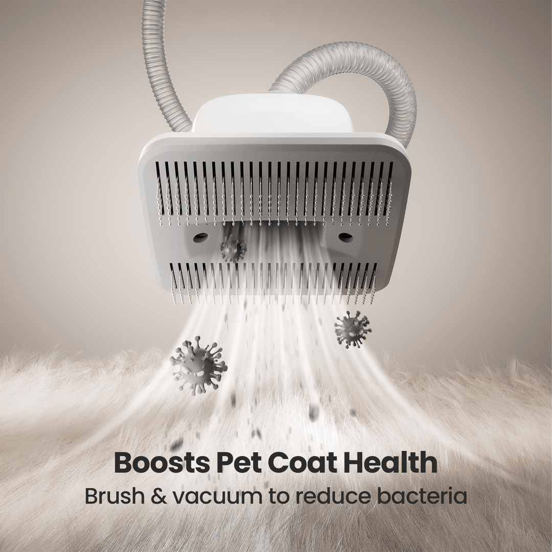 Oneisall LM2 Pet Grooming Vacuum Grooming Brush Replacement